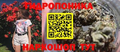соль ск Краснодар