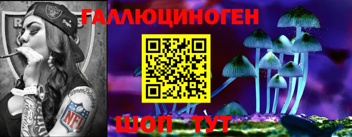 Псилоцибиновые грибы Magic Shrooms  Вход с VPN  Камень-на-Оби 